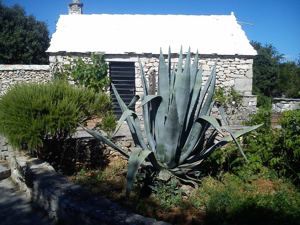 Country House Hacienda Selca  外观 照片